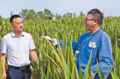 科技賦能特色農業 繪就鄉村振興新畫卷